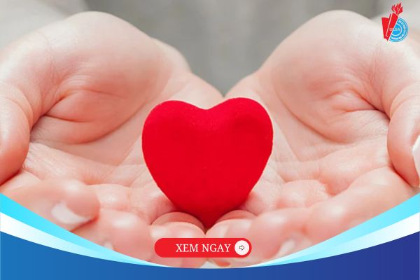Ngành Công tác xã hội làm việc gì? Tìm hiểu về cơ hội và vai trò quan trọng của nghề