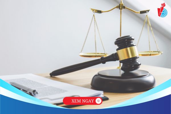 Đại học từ xa Luật kinh tế