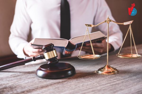 Vì sao bạn nên chọn học Đại học từ xa Luật kinh tế?