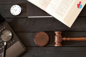 nganh luat kinh te ra truong lam gi