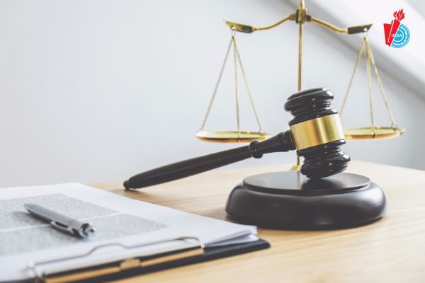 Ngành Luật Kinh tế học trường nào?