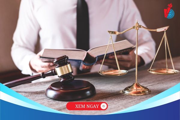 Khám Phá Mức Lương Ngành Luật Kinh Tế – Từ Mới Ra Trường Đến Cấp Quản Lý