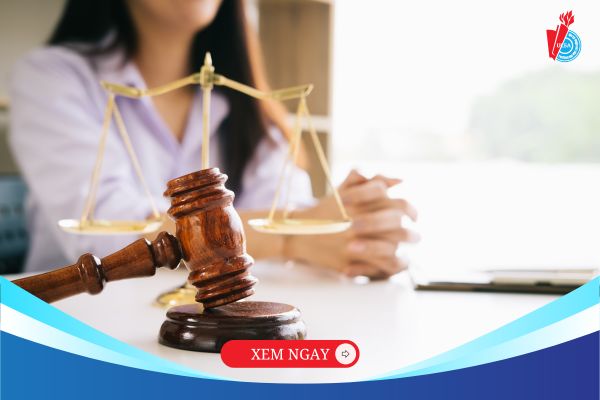 Ngành Luật kinh tế học trường nào để vừa uy tín, vừa dễ xin việc?