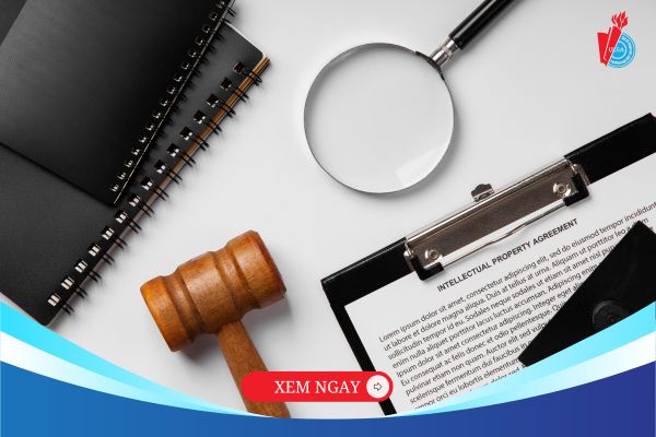Tốt nghiệp ngành luật kinh tế ra trường làm gì?