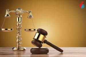 cac chuyen nganh luat kinh te 