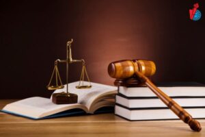 luat kinh te gom nhung mon hoc nao 