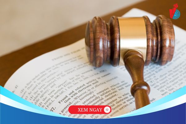 Học đại học online Luật Kinh tế có lợi thế gì? Nên học ở đâu?