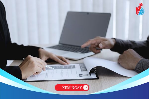 Học Luật Kinh tế có dễ xin việc? Nên học Luật Kinh tế trường nào năm 2025?