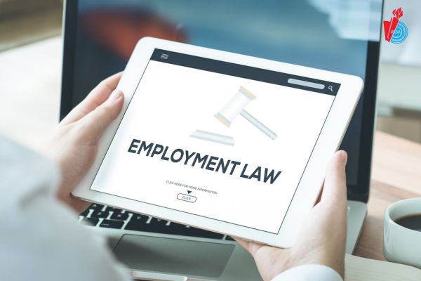Học ở đâu chất lượng, chuẩn đầu ra ngành Luật Kinh tế?