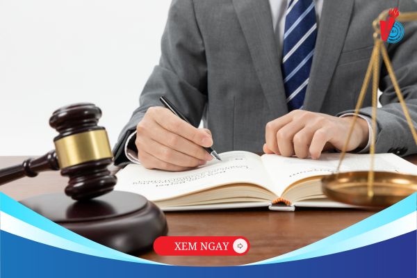 Học Luật Kinh tế ra trường làm gì? Câu trả lời thực tế nhất!