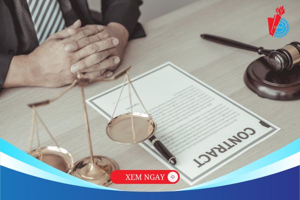 Mức lương ngành Luật Kinh tế – Toàn cảnh về thu nhập và triển vọng nghề nghiệp