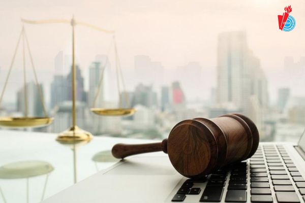 hoc luat kinh te co lam trong co quan nha nuoc duoc khong 