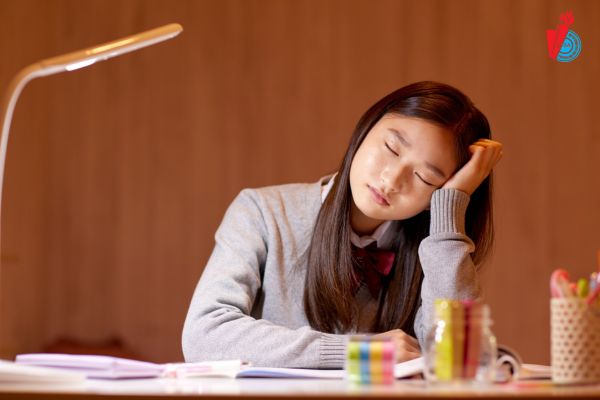 Con gái có nên học Luật kinh tế? - Lý do không nên