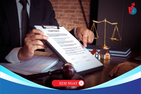 [BẠN HỎI – XÃ HỘI ĐÁP] Học Luật Kinh tế có khó xin việc không?