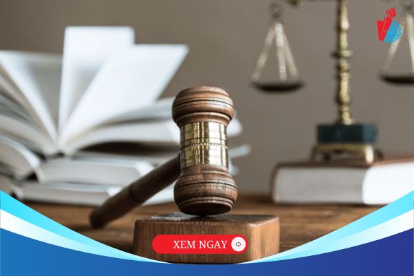 Lợi thế vàng khi am hiểu Luật kinh tế trong lĩnh vực ngân hàng