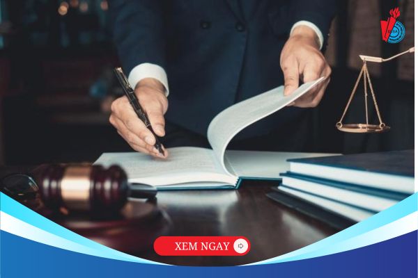 Khám phá lý do tại sao Luật Kinh tế lại là ngành học đắt giá?