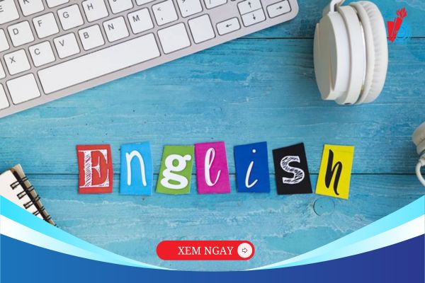 5 cách học ngôn ngữ Anh online hiệu quả cho người mới bắt đầu