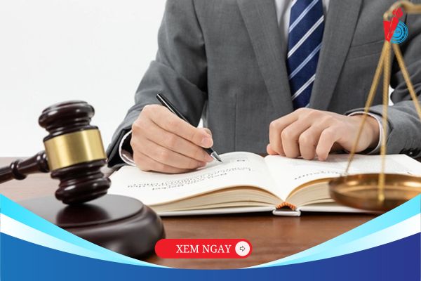 Cơ hội việc làm ngành Luật Kinh tế tại Việt Nam hiện nay