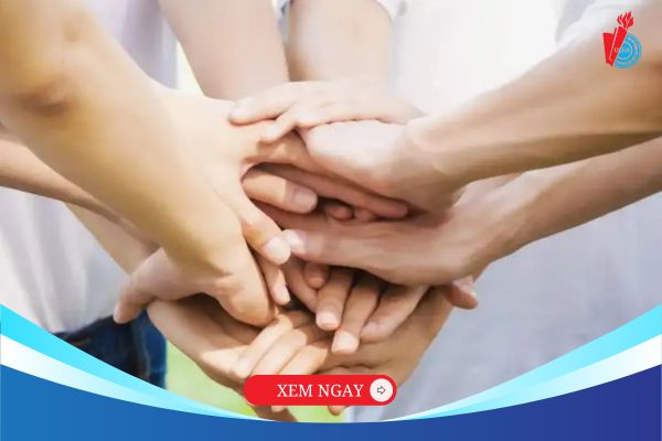Khám phá chương trình đào tạo ngành công tác xã hội