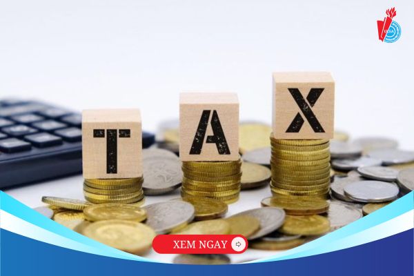 Ngành Công tác Xã hội lương bao nhiêu? Thực tế thu nhập từ 8‑30 triệu/tháng