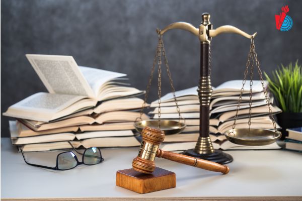 hoc phi nganh luat kinh te