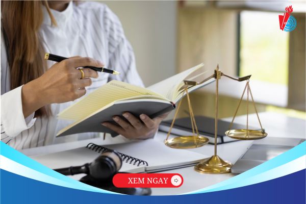 Ngành Luật Kinh tế thật sự phù hợp với ai? 5 tố chất bạn cần biết