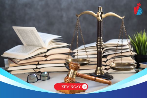 Vén màn sự thật: tại sao Luật Kinh tế lại là ngành học đắt giá?