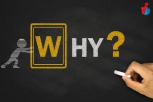 vi sao cac truong hoc dao tao nganh ngon ngu anh