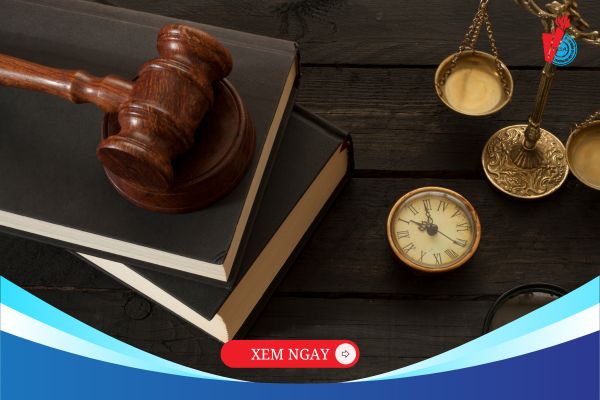 So sánh các ngành Luật – Vì sao Luật Kinh tế là xu hướng phát triển trong tương lai?