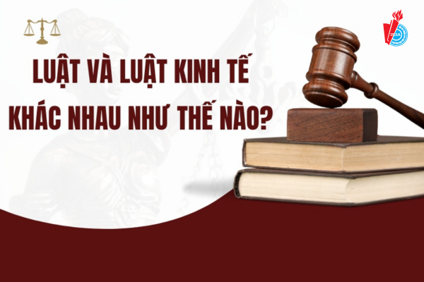 Su-khac-nhau-giua-nganh-luat-va-nganh-luat-kinh-te